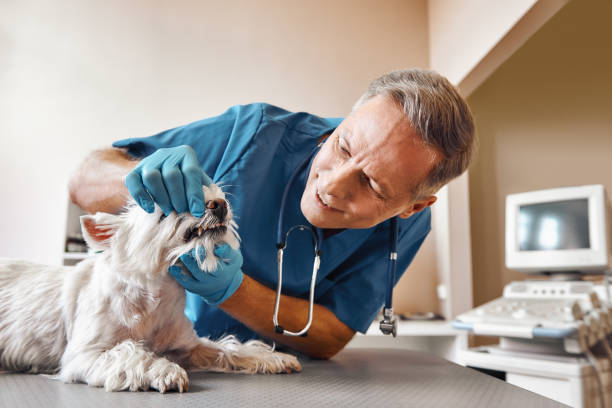 Best After-Hours Dental Trauma Care in Finley, WA